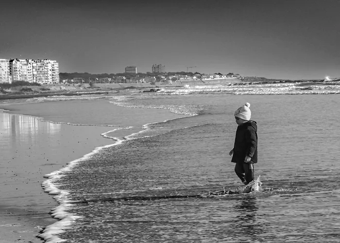 - Terrasse, Wifi Fibre & Piscine, A 200 M De La - D012 Apartmán *